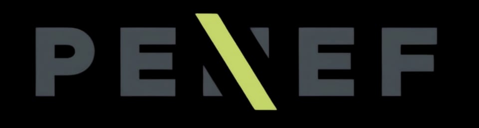 Logo PENEF